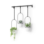 Triflora Hanging Planters, Set of 3